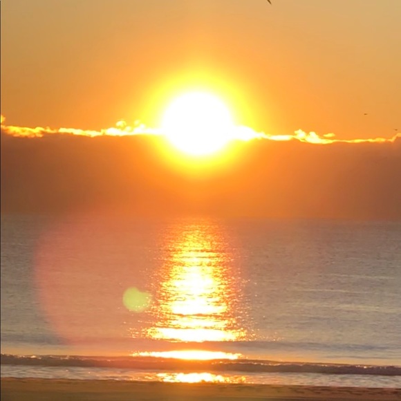 Meet your Posher, Amanda - Picture 1 of 1